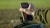 MOVIE_4K.00_09_50_10.Still024.jpg